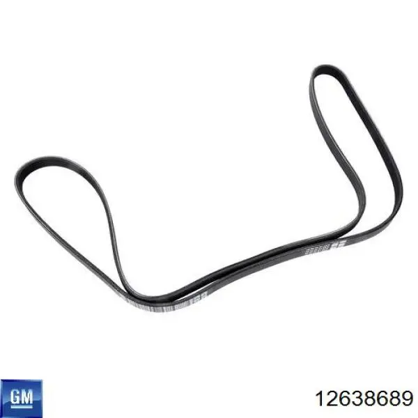 Compre 12638689 General Motors Reguladora de tensão da correia de transmissão