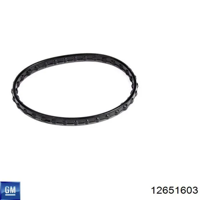 Compre 12651603 General Motors Termostato