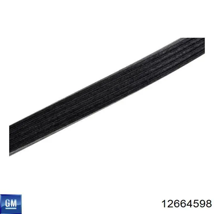 Compre 12664598 General Motors Correia dos conjuntos de transmissão