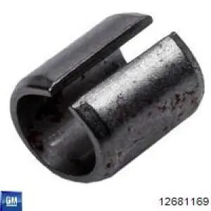 Bomba de água (bomba) de esfriamento General Motors 12681169