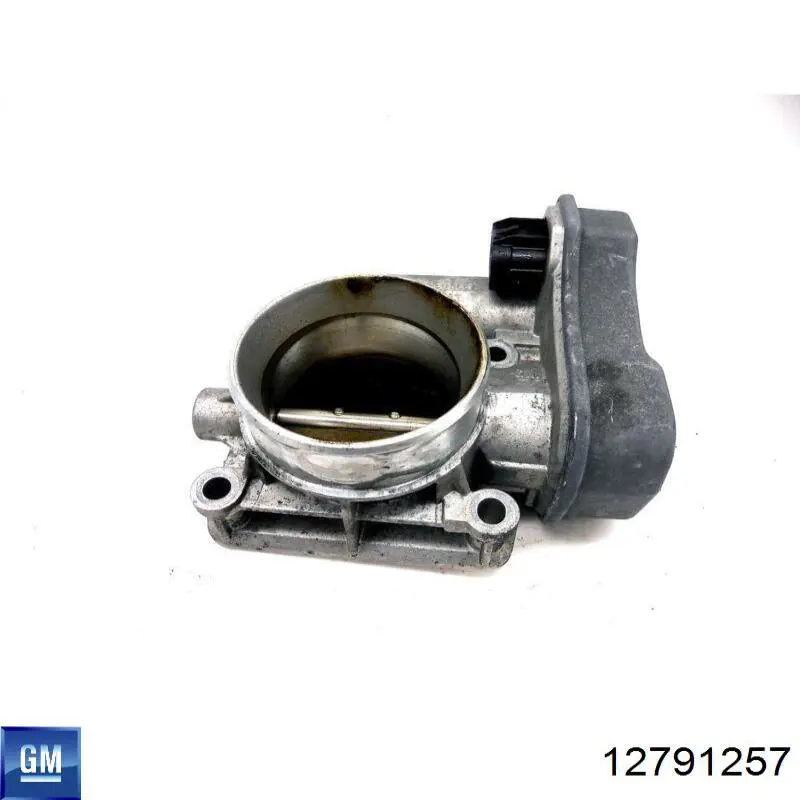 Compre 12791257 General Motors Válvula de borboleta montada