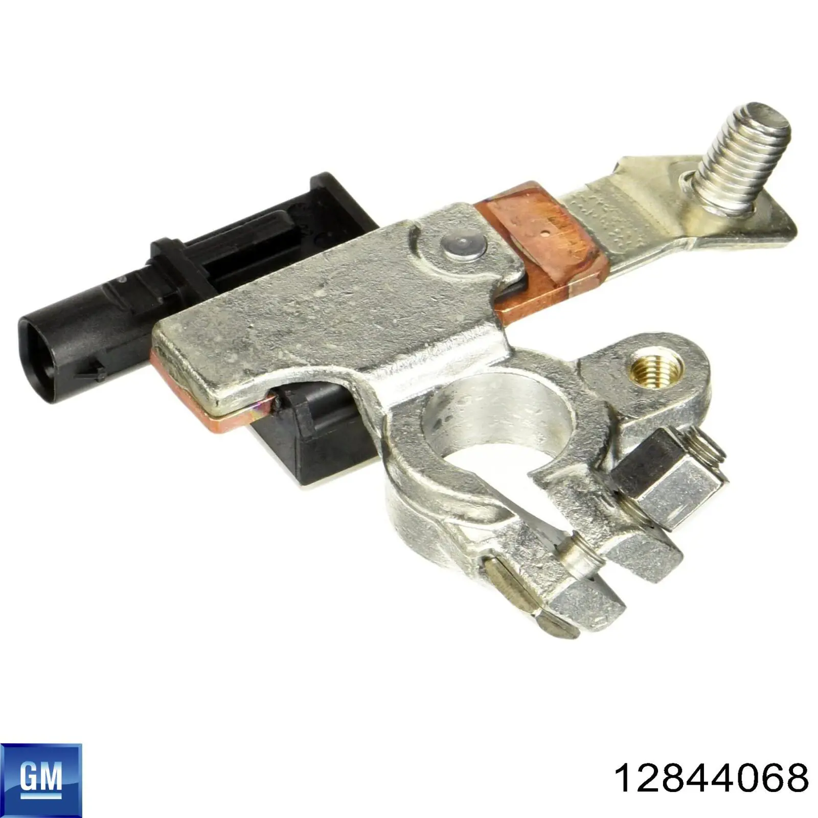 12844068 General Motors 