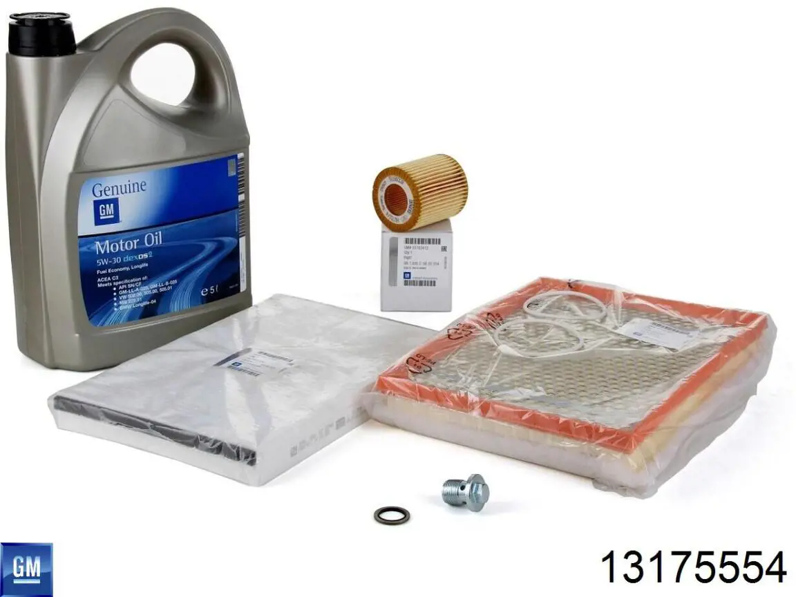 Filtro de salão 13175554 General Motors