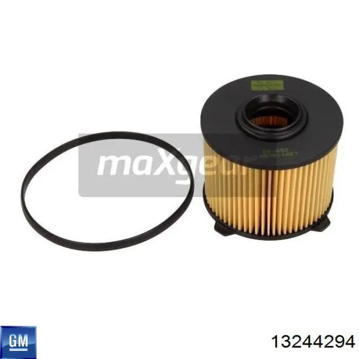Compre 13244294 General Motors Filtro de combustível