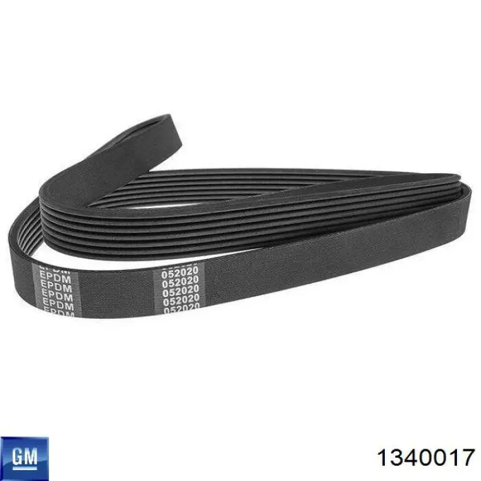 Compre 55562422 Peugeot/Citroen Correia dos conjuntos de transmissão