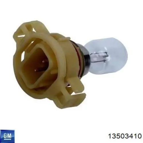 Compre 13503410 General Motors Lâmpada