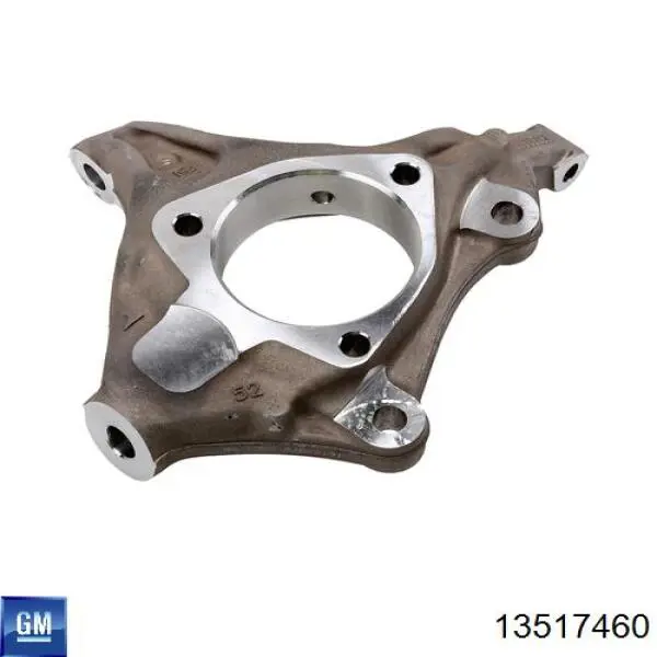 13517460 General Motors Cubo traseiro