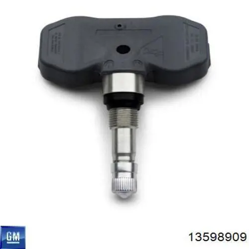 13598909 General Motors Válvula para a roda