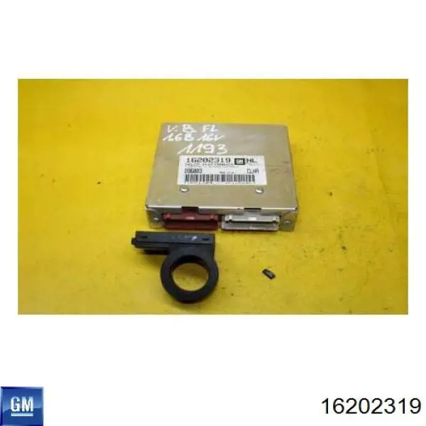  General Motors 16202319