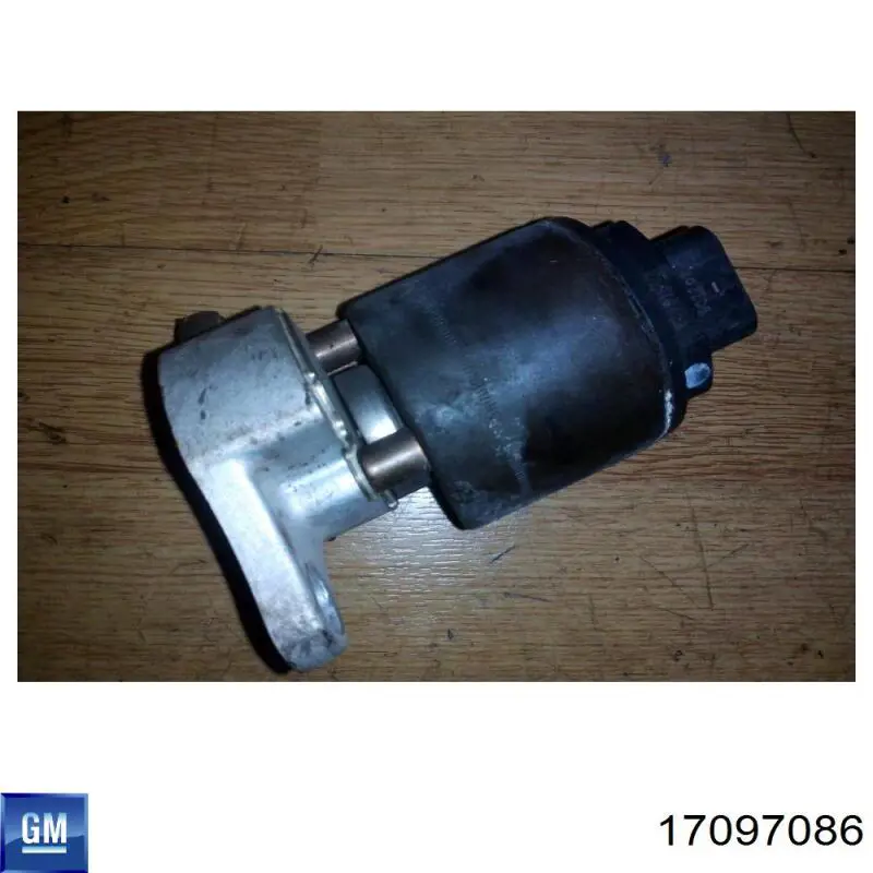 Compre 17097086 General Motors Válvula EGR de recirculação dos gases