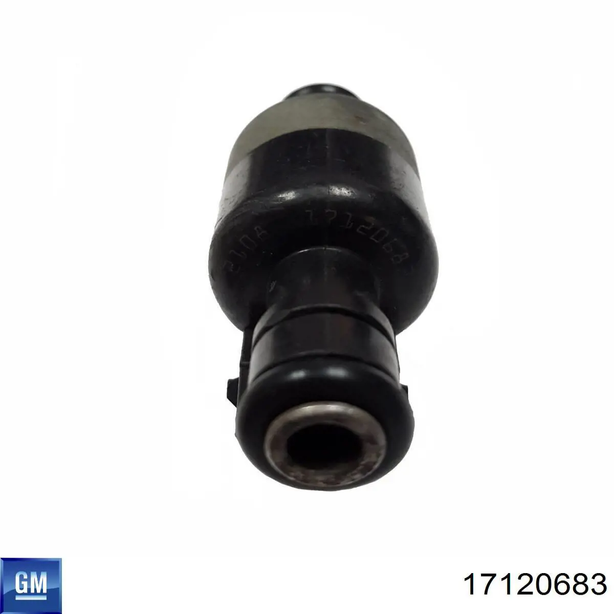 Compre 25171743 General Motors Injetor de injeção de combustível