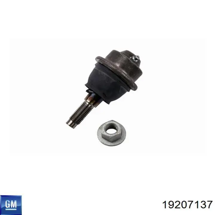 Suporte de esfera inferior 19207137 General Motors