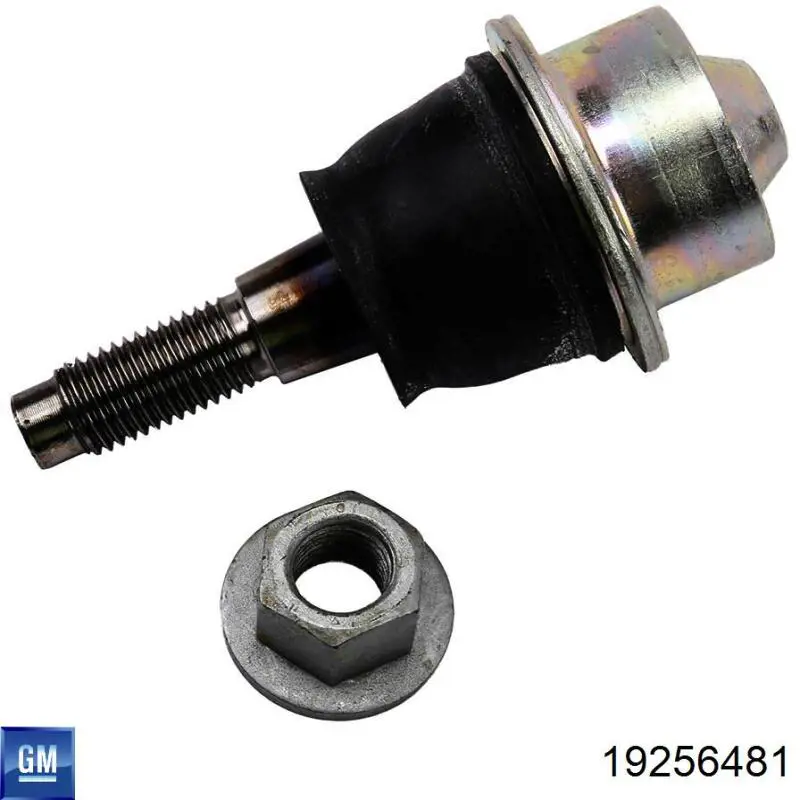 Suporte de esfera inferior General Motors 19256481 preço, a partir de 37,03 USD