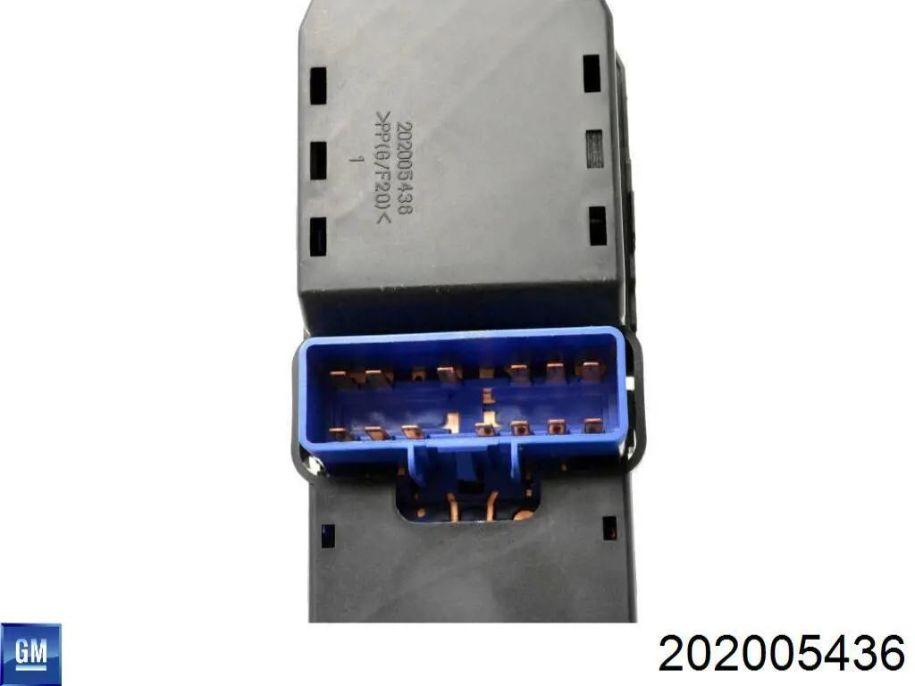 202005436 General Motors 