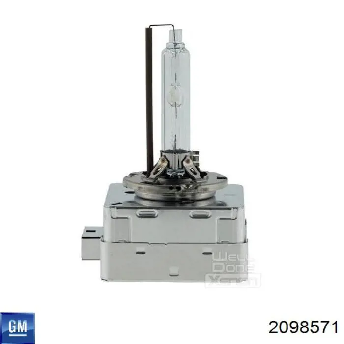 2098571 General Motors Lâmpada de xénon
