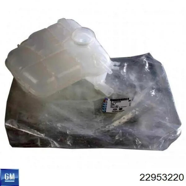 22953220 General Motors Tanque de expansão do sistema de esfriamento