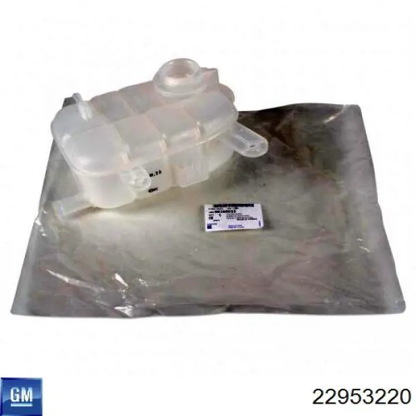 22953220 General Motors Tanque de expansão do sistema de esfriamento