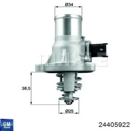 24405922 General Motors Termostato