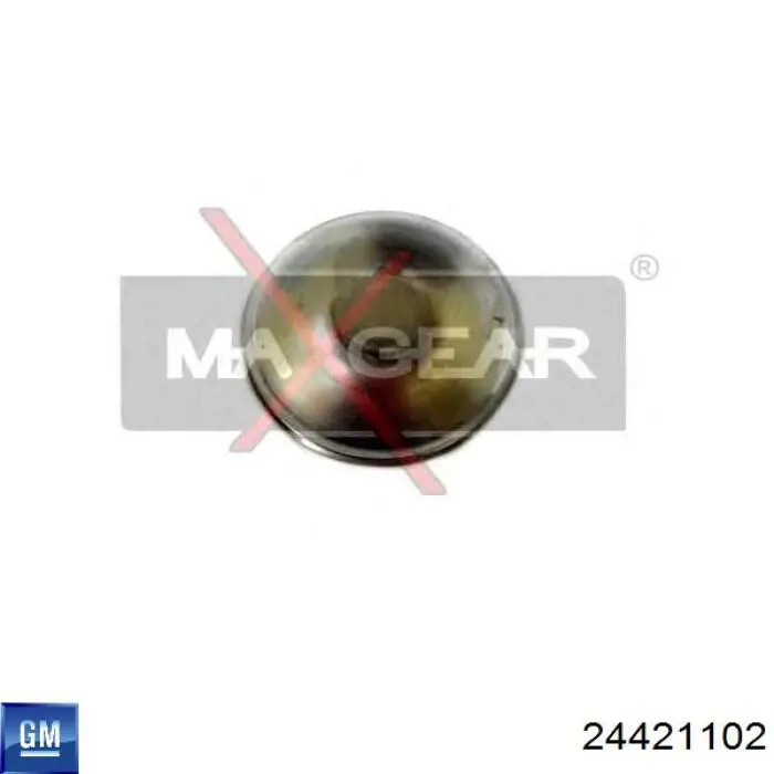 24421102 General Motors Tampão de cubo