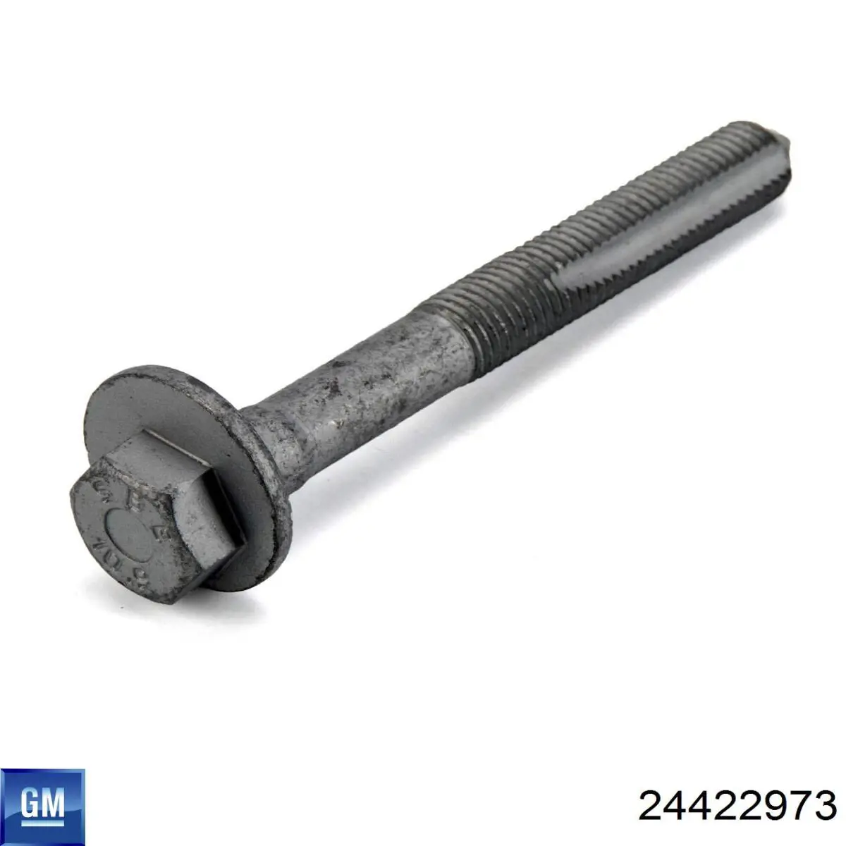 Compre 24422973 General Motors Parafuso de fixação de braço oscilante de inclinação traseiro, interno