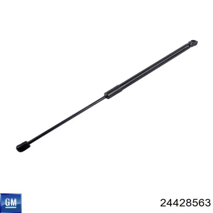Compre 24428563 General Motors 
