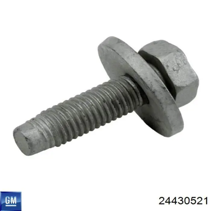 24430521 Opel 