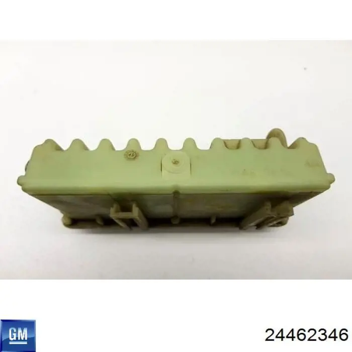  General Motors 24462346