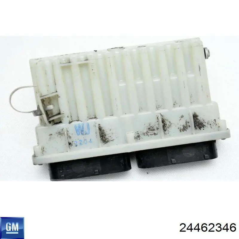 24462346 General Motors 