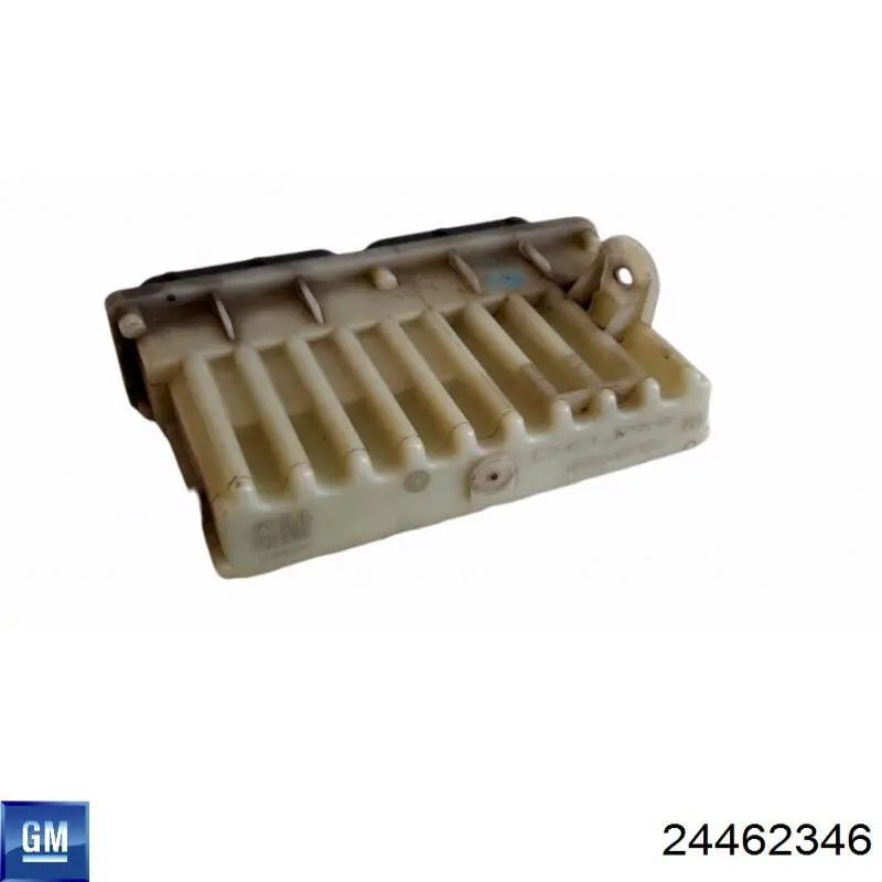 Compre 24462346 General Motors 