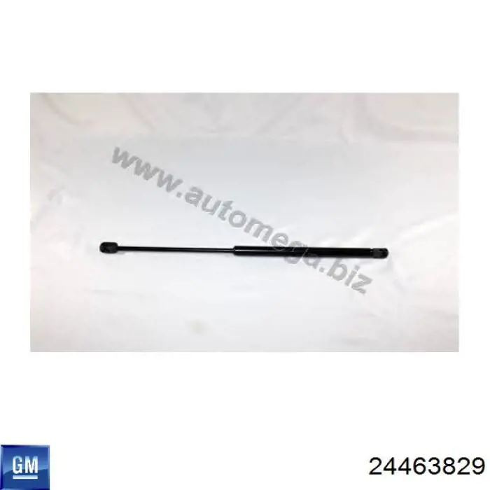 Amortecedor de tampa de porta-malas (de 3ª/5ª porta traseira) 24463829 General Motors
