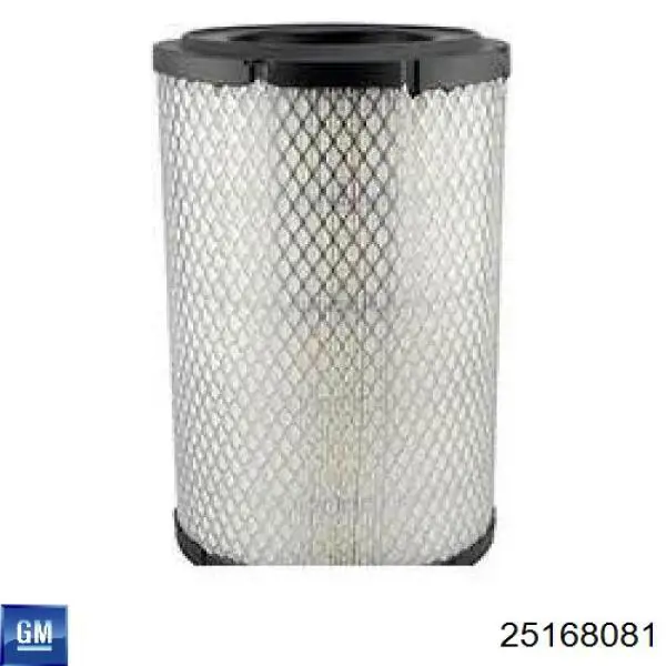25168081 General Motors Filtro de ar