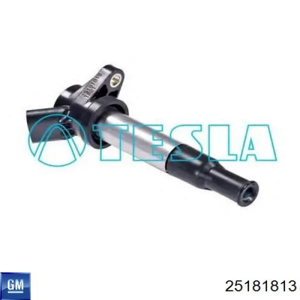 Compre 25181813 General Motors Bobina de ignição