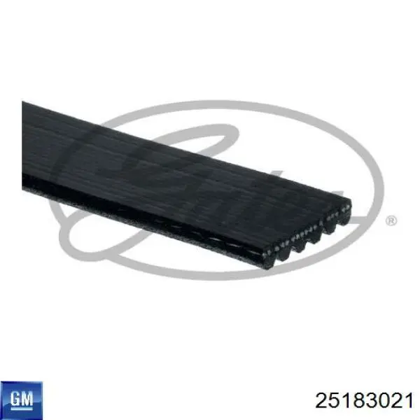 Compre 25183021 General Motors Correia dos conjuntos de transmissão