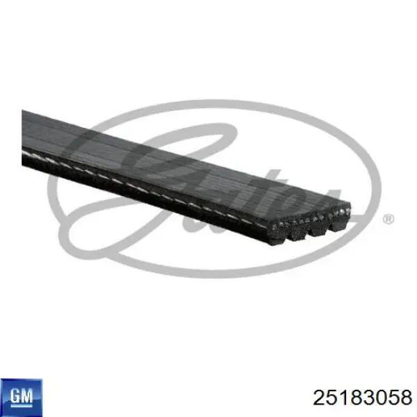 Compre 25183058 General Motors Correia dos conjuntos de transmissão