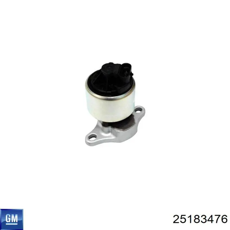 25183476 General Motors Válvula EGR de recirculação dos gases
