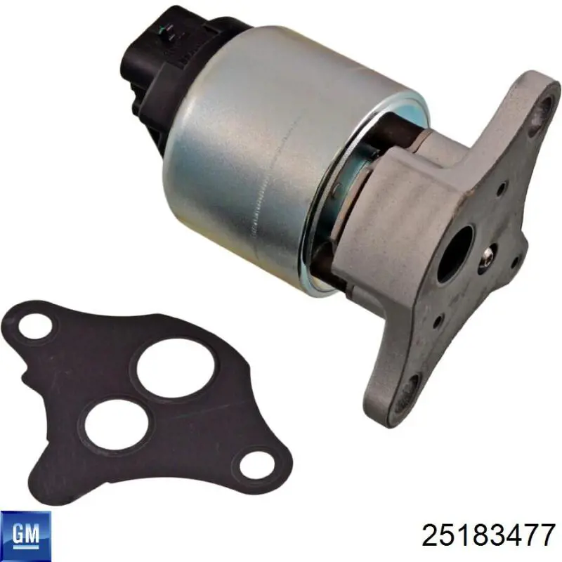 25183477 General Motors Válvula EGR de recirculação dos gases