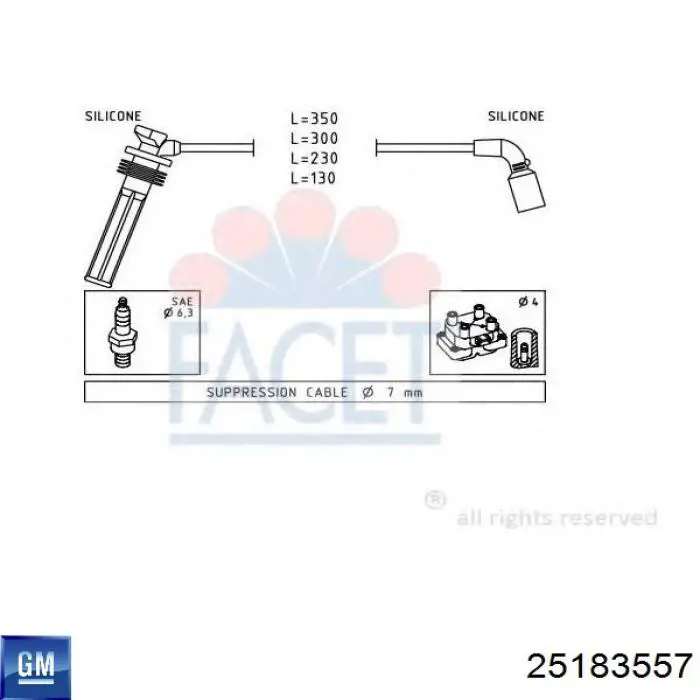 25183557 General Motors Fios de alta voltagem, kit