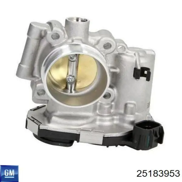 25183953 General Motors Válvula de borboleta montada