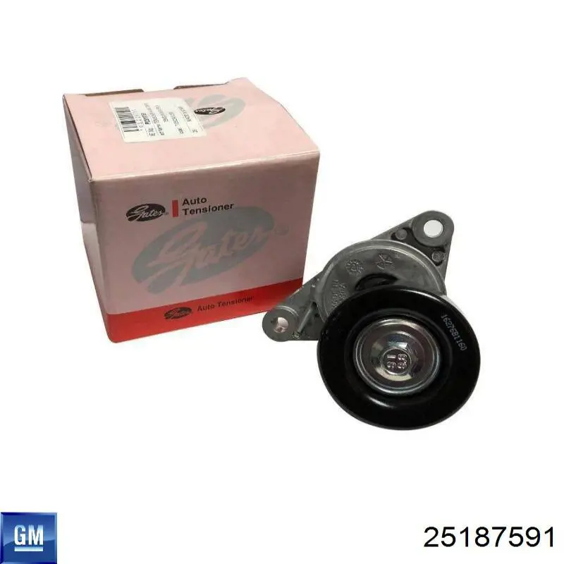 25187591 General Motors Reguladora de tensão da correia de transmissão