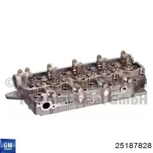 25187828 General Motors 