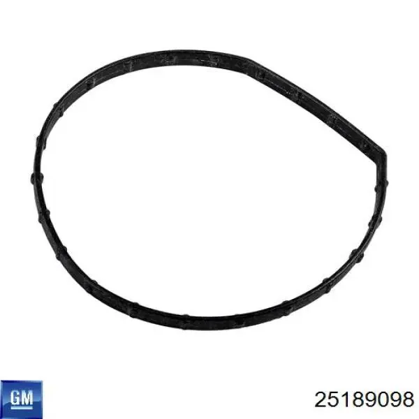 Compre 25189098 General Motors Bomba de água (bomba) de esfriamento