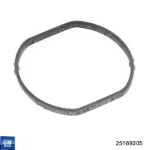 25189205 General Motors Vedante de termostato