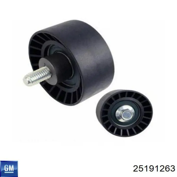 Compre 25191263 General Motors Rolo parasita da correia do mecanismo de distribuição de gás