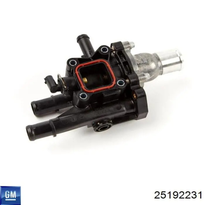 25192231 General Motors Caixa do termostato