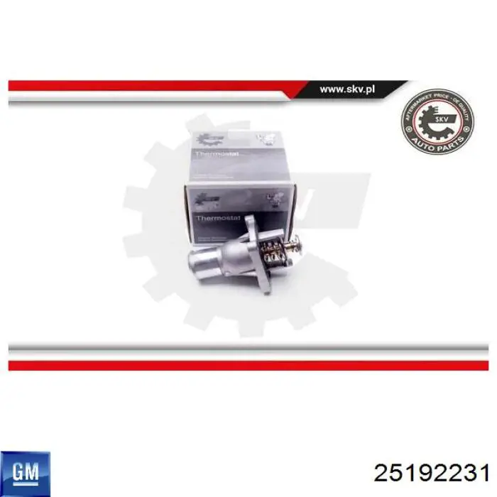 Caixa do termostato 25192231 General Motors
