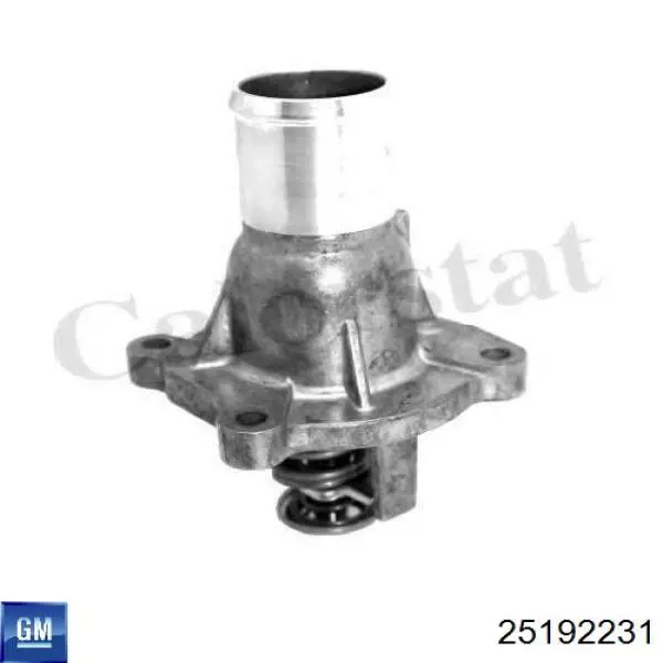 25192231 General Motors Caixa do termostato