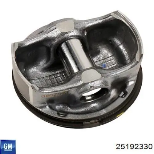 55567934 General Motors Pistão do kit para 1 cilindro, STD