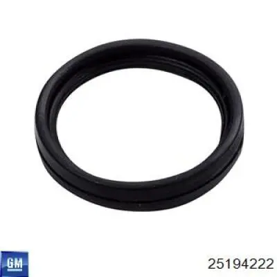 Compre 5650974 General Motors Vedante do conduto de óleo de refrigerador superior