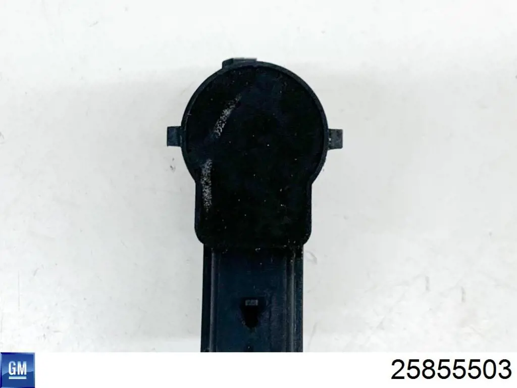  25855503 General Motors