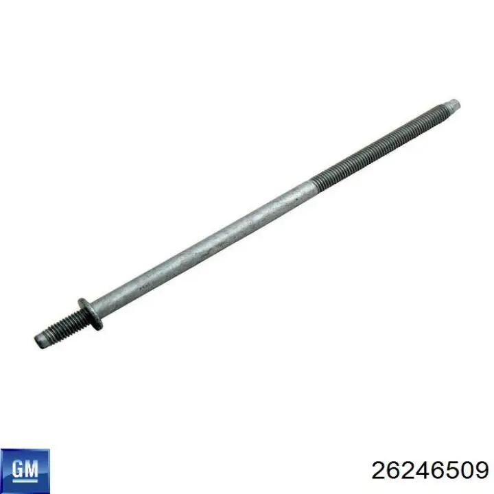  Signeda BK119